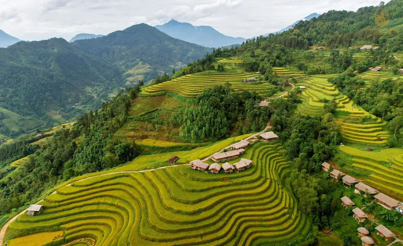 Trekking Hoang Su Phi Ha Giang 12 Days | Ultimate Northern Vietnam Tour